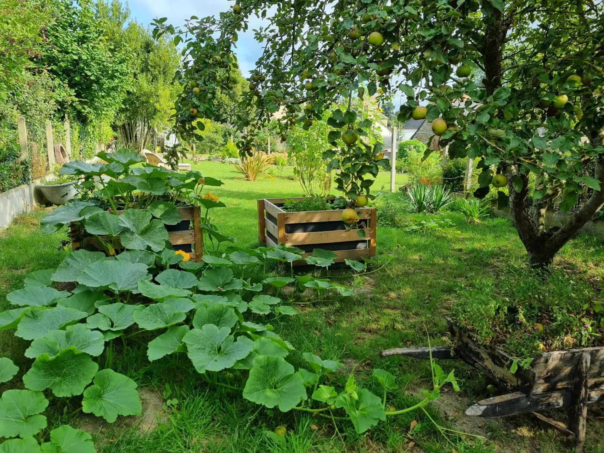 Les Forges Du Lou Apartman Jugon-les-Lacs Kültér fotó